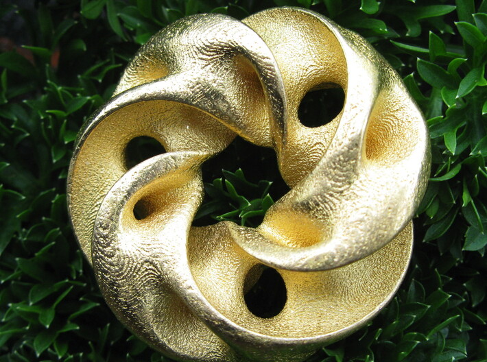 Seedpod of Tacañita  - mobius pendant /sculpture 3d printed It is actually symmetrical, this is taken from a slight angle to show the internal geometry.