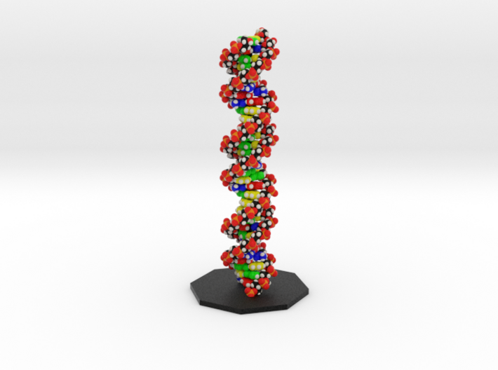 DNA Model &quot;Large, Vertical&quot; LaMuraglia ! 3d printed