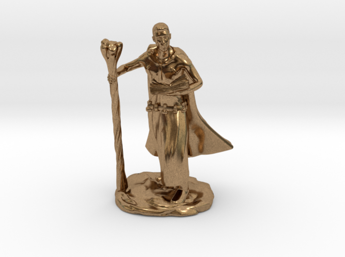 Male Elf Wizard With Spellbook And Staff 3d printed