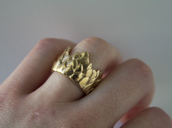 Scale Ring 3d printed 