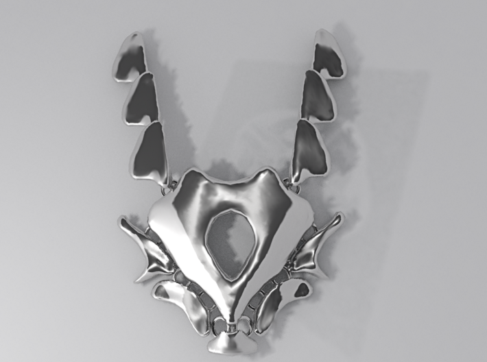 NeoNordic Bone necklace  3d printed 
