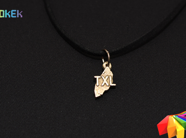 Texel pendant 3d printed Photo with the charm printed in Stainless Steel