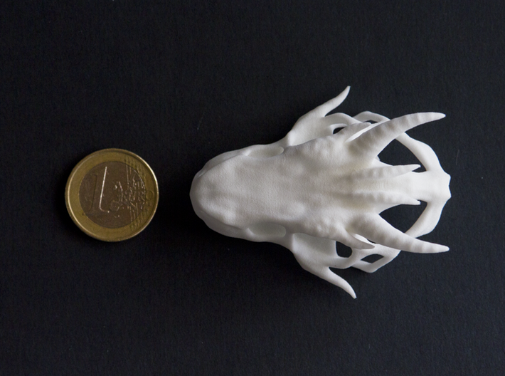 Small Dragon Skull 3d printed Next to euro coin
