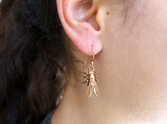 Drosophila Fruit Fly Earrings - Science Jewelry 3d printed Drosophila earring in raw bronze