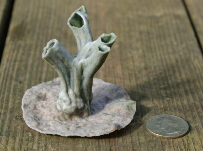 Olive Trunk (2.6&quot;) 3d printed the print
