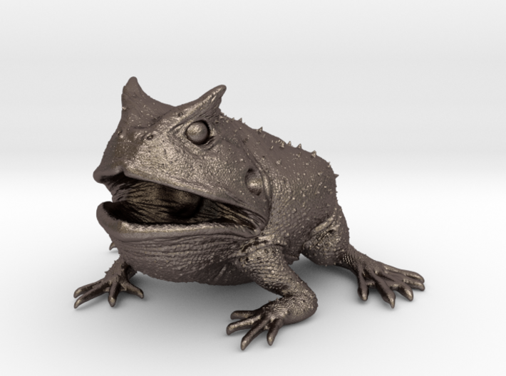 Beelzebufo (small size / middle size-color) 3d printed
