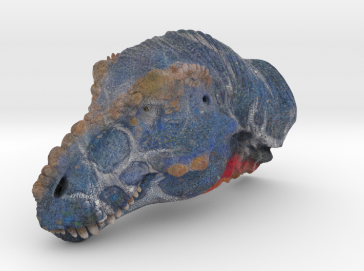 T-rex Head (Small/Medium-color size) 3d printed 