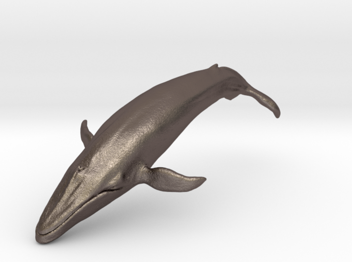 Blue Whale middle size (color) 3d printed