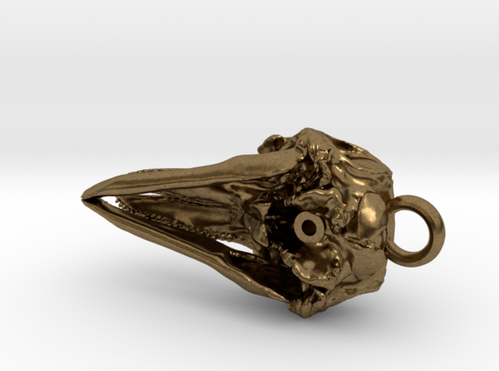 Dolphin Skull Pendant 3d printed