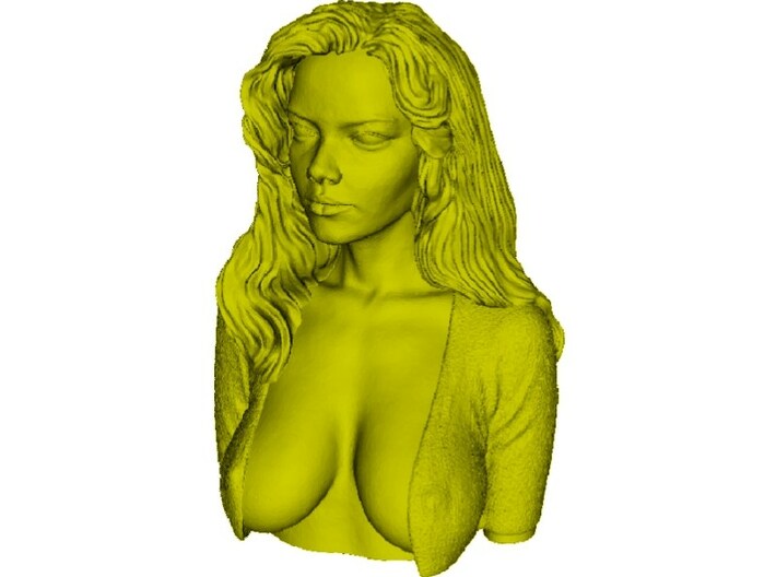 1/9 scale sexy top model bust 3d printed