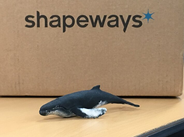 humpback whale middle size (color) 3d printed