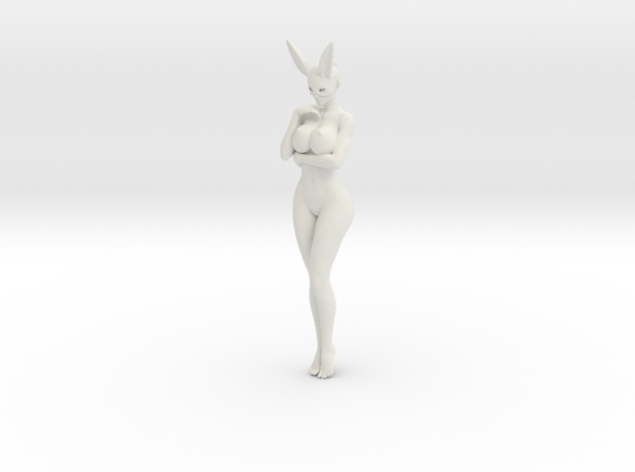 Bunny lady 005 1/10 3d printed
