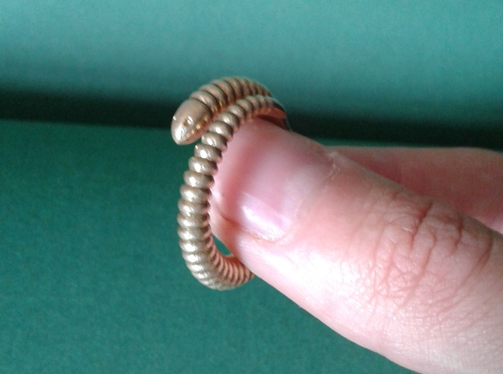 a. "Life of a worm" Part 1 - ring 3d printed 