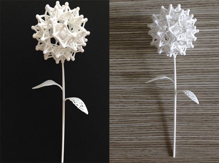 Dandelion Math Art 3d printed Dandelion white strong &amp; flexible Shapeways