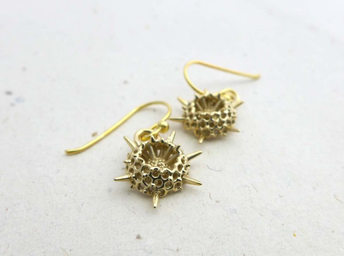 Spumellaria Earrings - Science Jewelry 3d printed Spumellaria earrings in polished brass