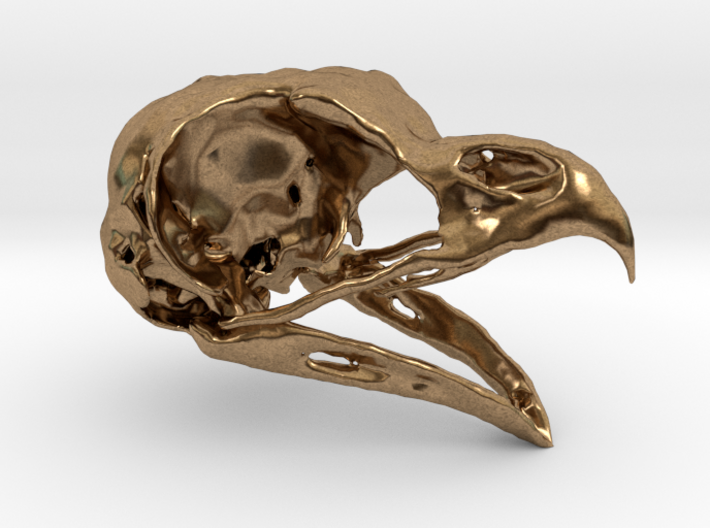 Great Horned Owl Skull 3d printed