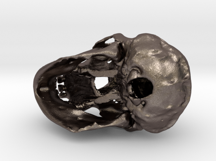 Chimpanzee skull - 77 mm 3d printed 