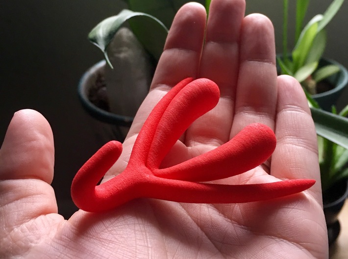 Clitoris Et Bulbes 3d Open Source by Odile Fillod 3d printed In Red Polished