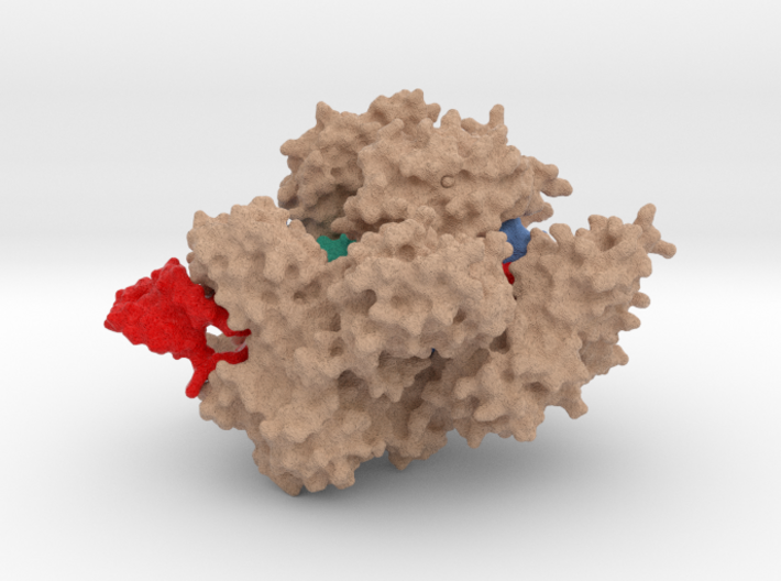 Cas9 bound to PAM-containing DNA target 3d printed