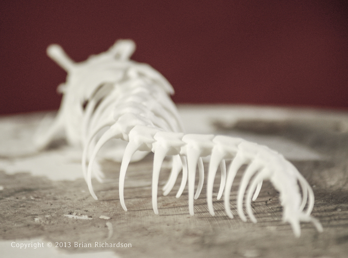 Mongolian Death Worm 3d printed 