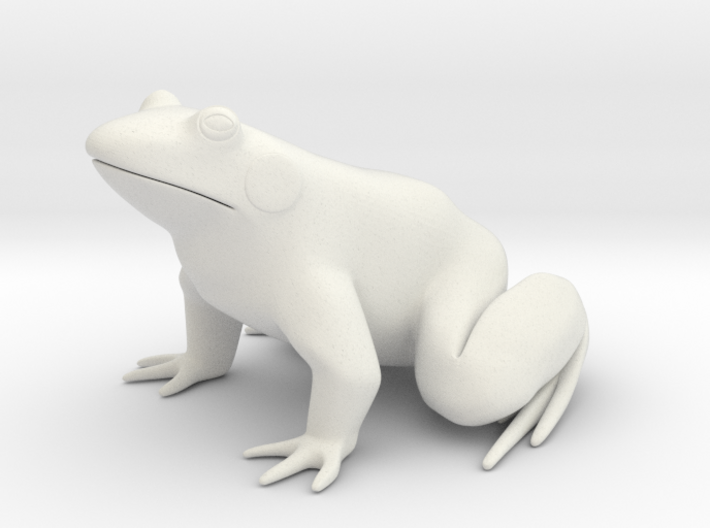 Frog, for acrylic plastic 3d printed