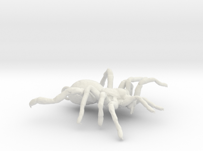 Tarantula Spider Pendant - 45 mm 3d printed