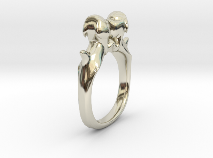 Dog Ring Size 6 3d printed