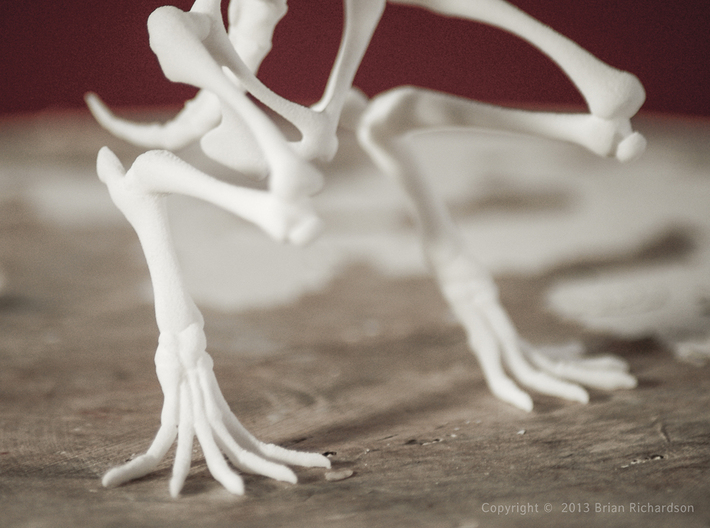 Canvey Island Monster Skeleton 3d printed WSF