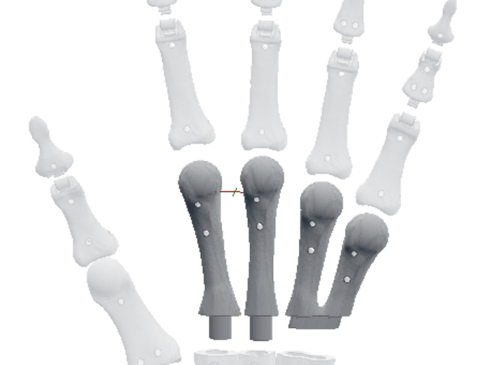 Innerbreed Hand Metacarples 3d printed