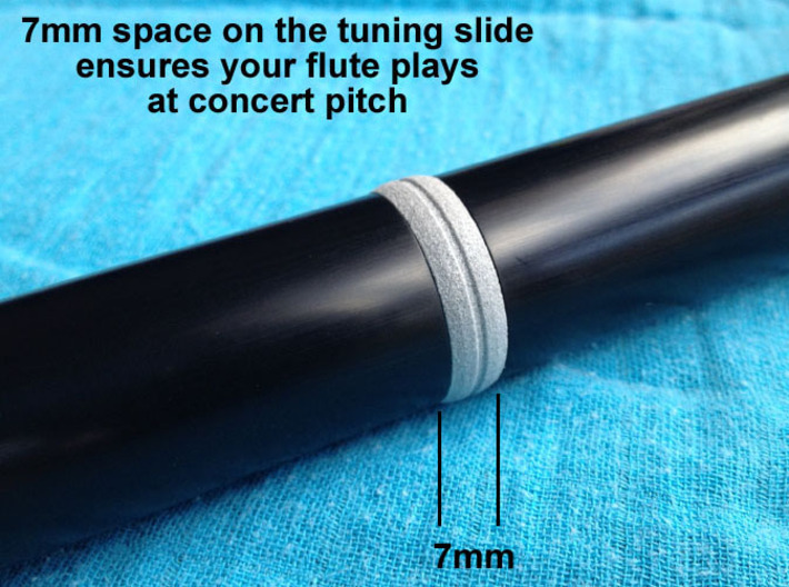 Tipple Flute tuning ring and end cap 3d printed 