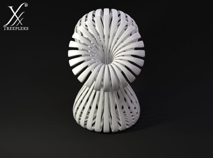 Triple Klein Bottle 3d printed Cycle render (front view).