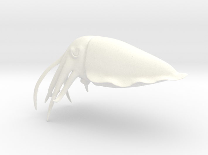Cuttlefish Statue 3d printed 