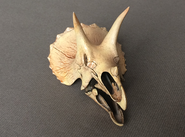 Triceratops skull - dinosaur model 3d printed Actual photo