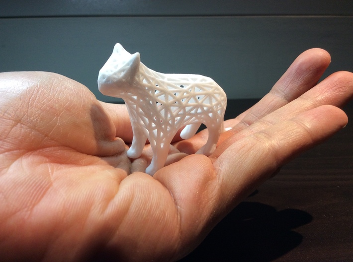 Lattice Cat Piece 3d printed Hand for Scale