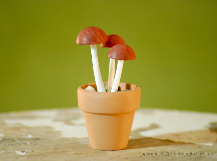 Shrooms To Be Potted 3d printed Painted WSF Polished