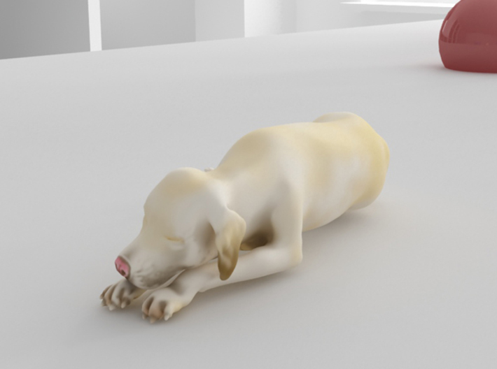 Sleeping Dog - Labrador Small 3d printed