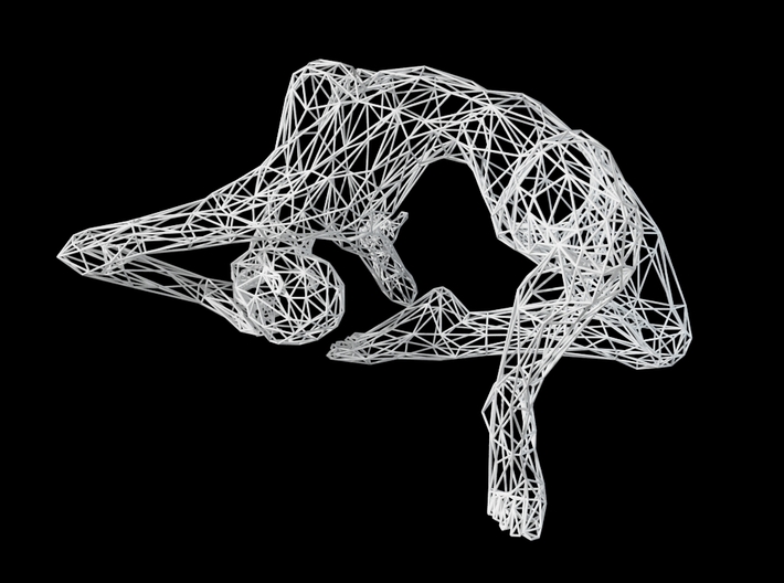 Wireframe Woman 30cm 001 3d printed
