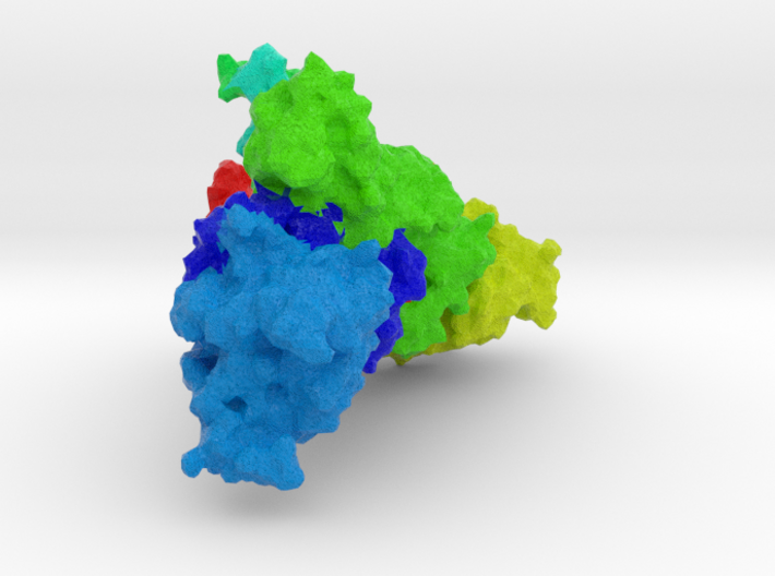 Prototype Foamy Virus (PFV) Integrase 3d printed