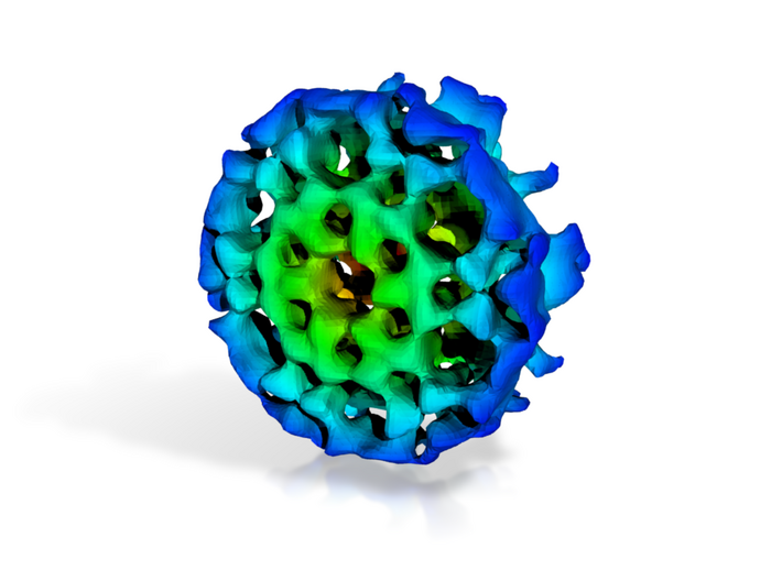 Virus-Like Particle 3d printed