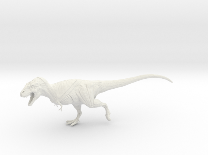 Daspletosaurus Anatomy 3d printed