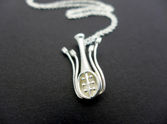 Floral Anatomy Pendant - Science Jewelry 3d printed Floral Anatomy pendant in polished silver