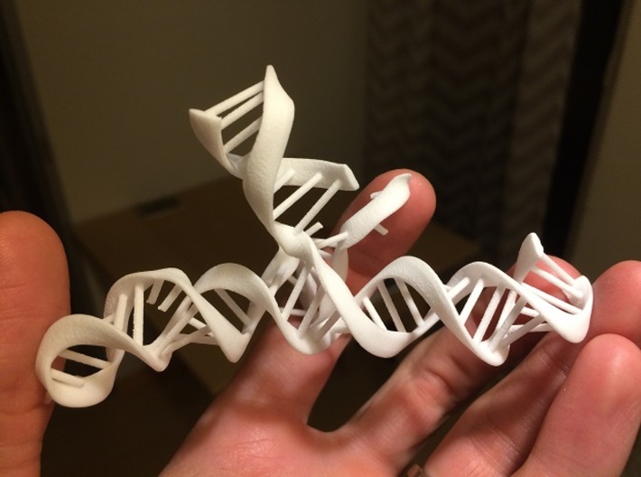 CRISPR Guide RNA with Target (mega scale) 3d printed