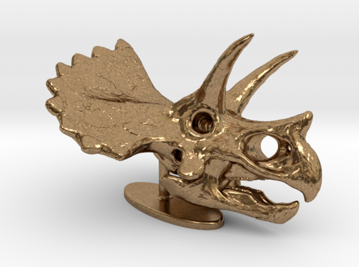 Triceratops Skull 3d printed