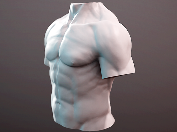 Anatomy torso sculpture 3d printed 