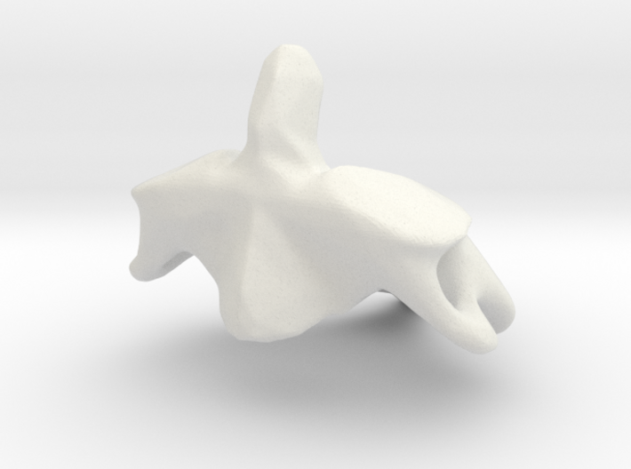 Second Cervical (neck) Vertebra - Axis 3d printed