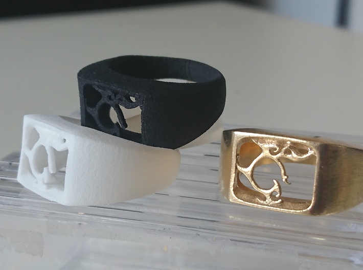 Segunda - The One Ring 3d printed White and Black Strong & Flexible, Raw Brass