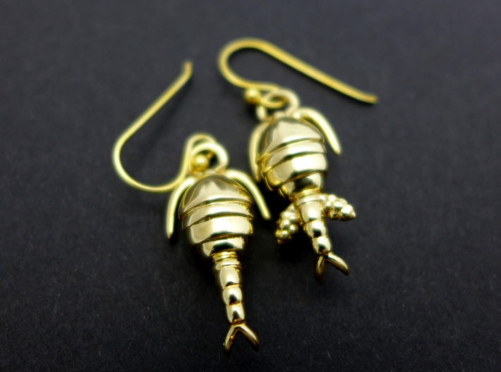 Copepod Earrings - Science Jewelry 3d printed Copepod earrings in polished brass