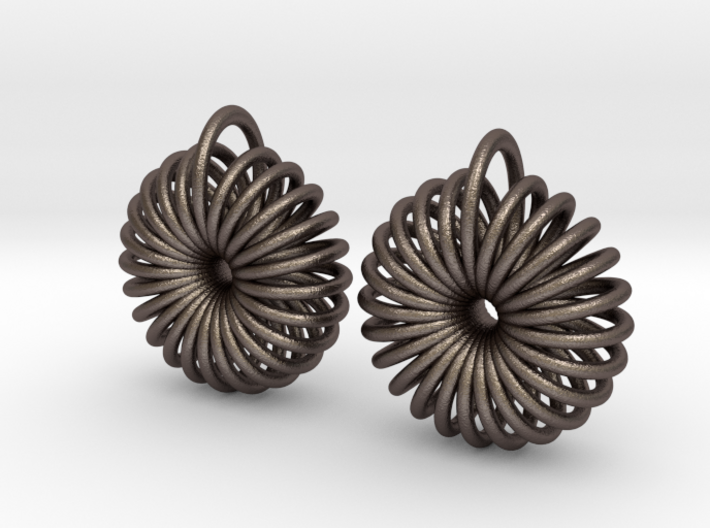 Torus Earrings 3d printed