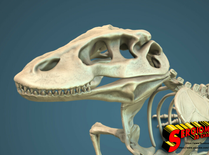 Komodo Craneus and Neck Skeleton 1:5 Scale 3d printed