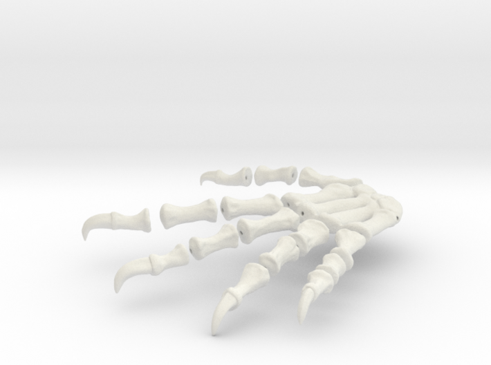 Komodo Rigth Foot Back 1:5 Scale 3d printed
